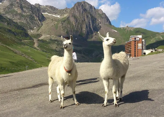 Apartamento Coquet Et Accueillant Studio Montagne La Mongie *