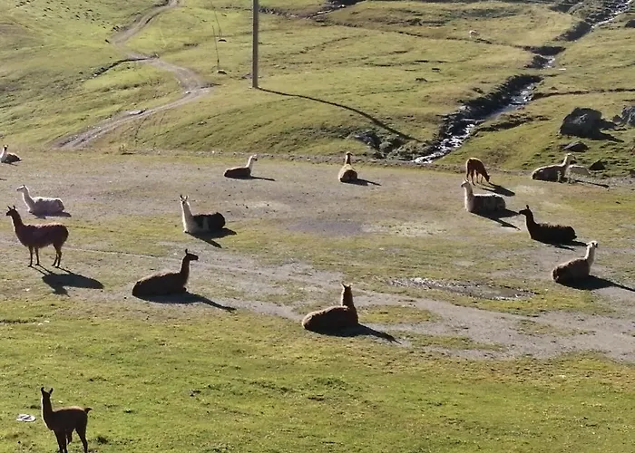 Coquet Et Accueillant Studio Montagne La Mongie Bagnères-de-Bigorre